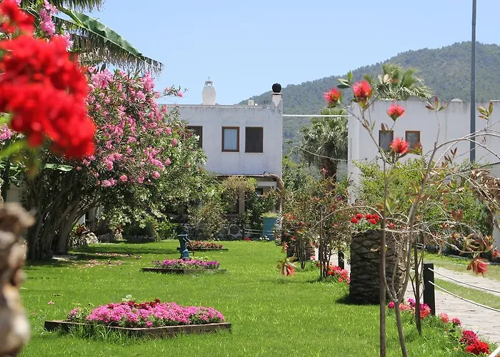 ホテル Mandalya ゴルトゥルブク