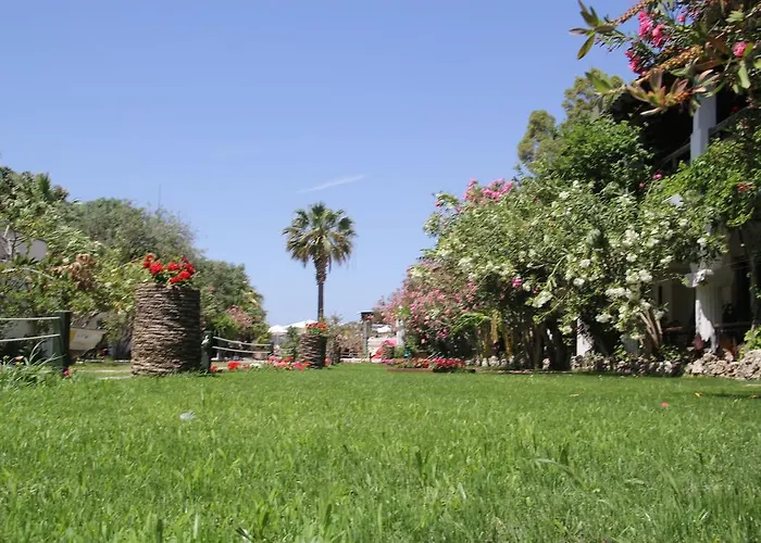 Mandalya * ゴルトゥルブク