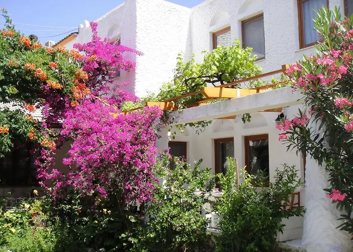 Mandalya * ゴルトゥルブク